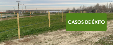 Quiénes somos y casos de Éxito PastorEléctrico