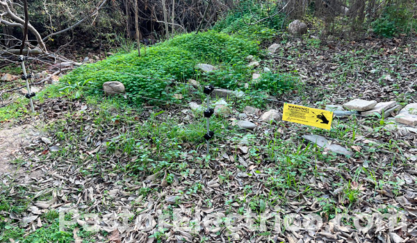 cercado para jabali cliente pastor electrico