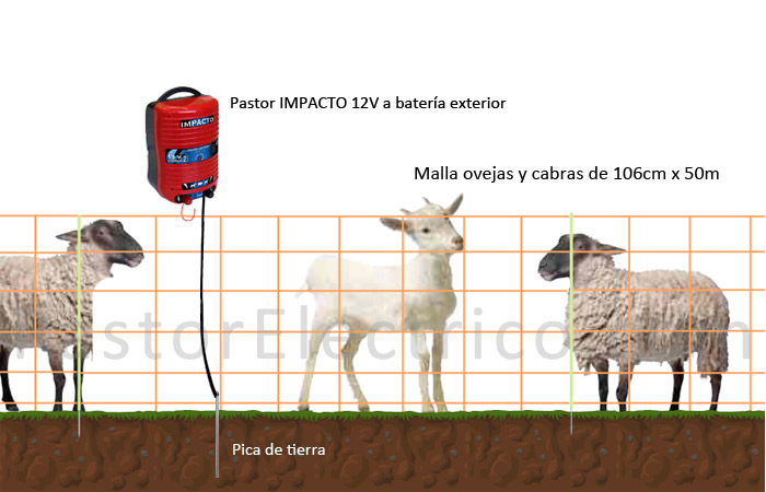Cercado eléctrico ovejas y cabras con mallas pastor eléctrico