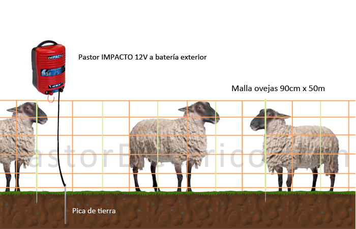 cercado mallas ovejas con pastor eléctrico