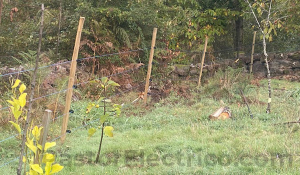 cercado para perros cliente pastorelectrico