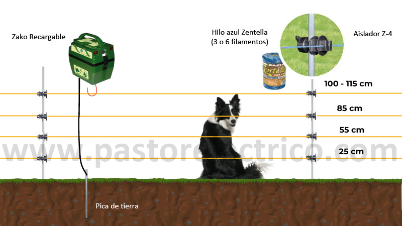 cercados eléctricos y pastores eléctricos para perros grandes