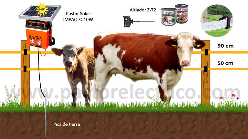cercado para vacas y terneros con pastor eléctrico