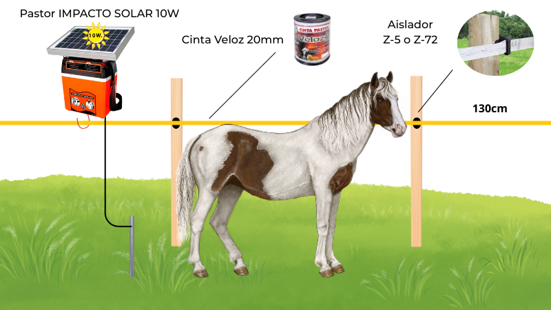 cercados eléctricos y pastores eléctricos para caballos