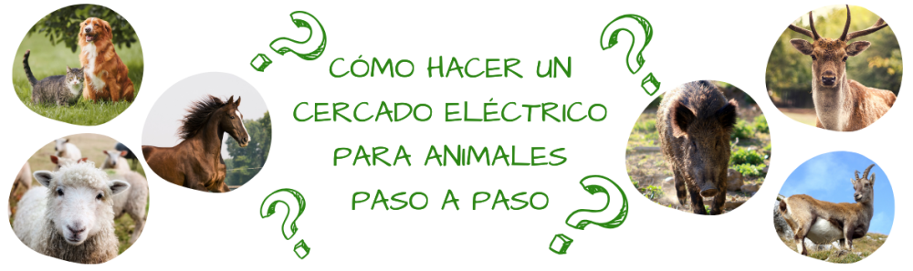 Pastores Eléctricos y accesorios para cercados eléctricos