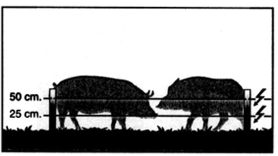 Ejemplo cercado jabalis