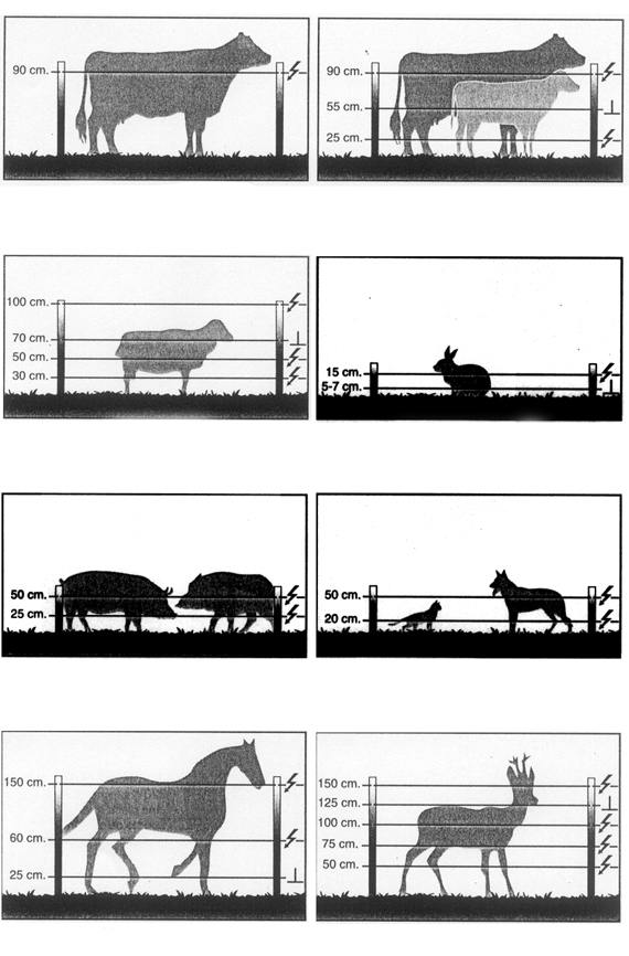 Número de líneas conductoras y alturas recomendadas de cercado eléctrico en función del tipo de animal