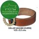 Collar Vacuno medida 25 x 5.5 cm para vacas, terneros y toros pastor eléctrico
