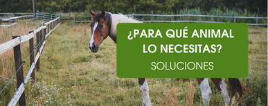 Cómo hacer un cercado eléctrico con pastor eléctrico según el animal