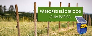 ¿Qué es y para qué sirve un pastor eléctrico o cercado eléctrico?