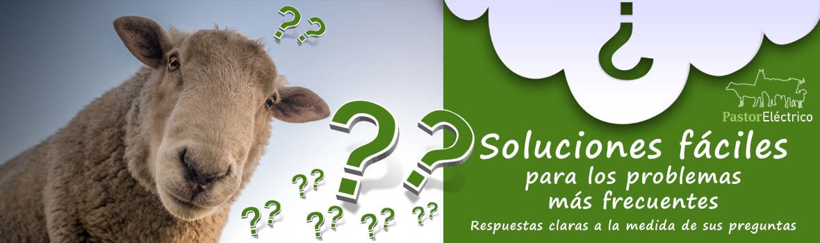 Soluciones de pastores électricos y cercados eléctricos para los problemas más frecuentes