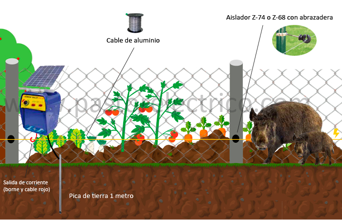 cercado eléctrico para jabalí en vallado convencional