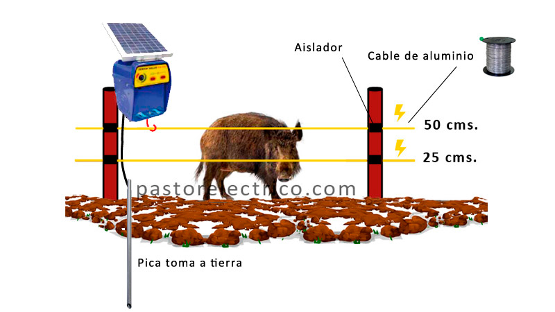 pastor eléctrico y cercado eléctrico para jabalies
