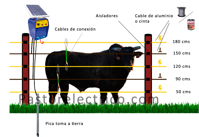 cercado electrico con pastor eléctrico para toro bravo