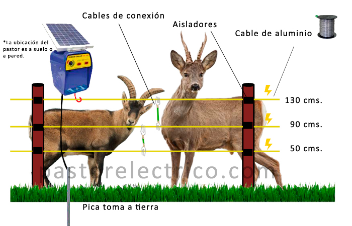 cercado eléctrico con pastor eléctrico para corzos y cabras montesas