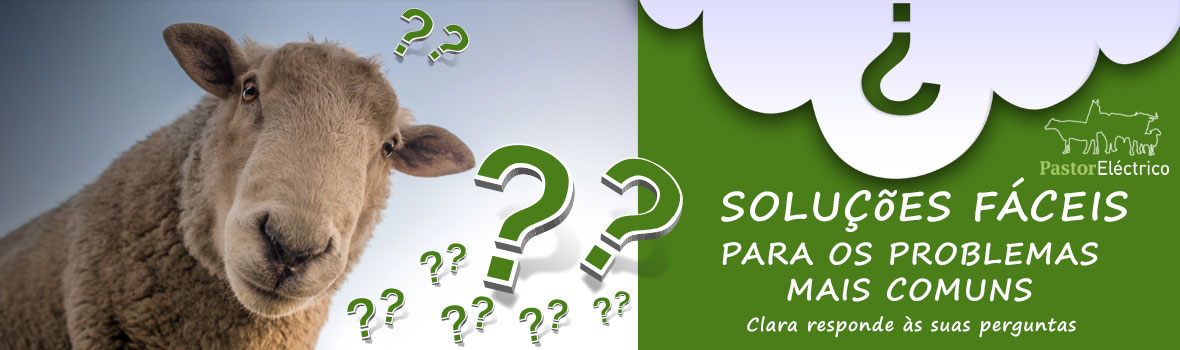 Soluções fáceis para os prolblemas mais comuns - clara responde às suas perguntas