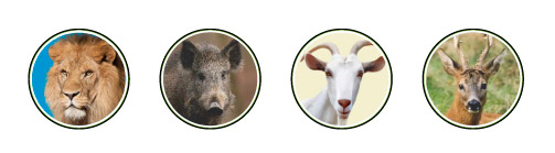 pastor a red eléctrica Zerko 8 Julios indicaciones animales